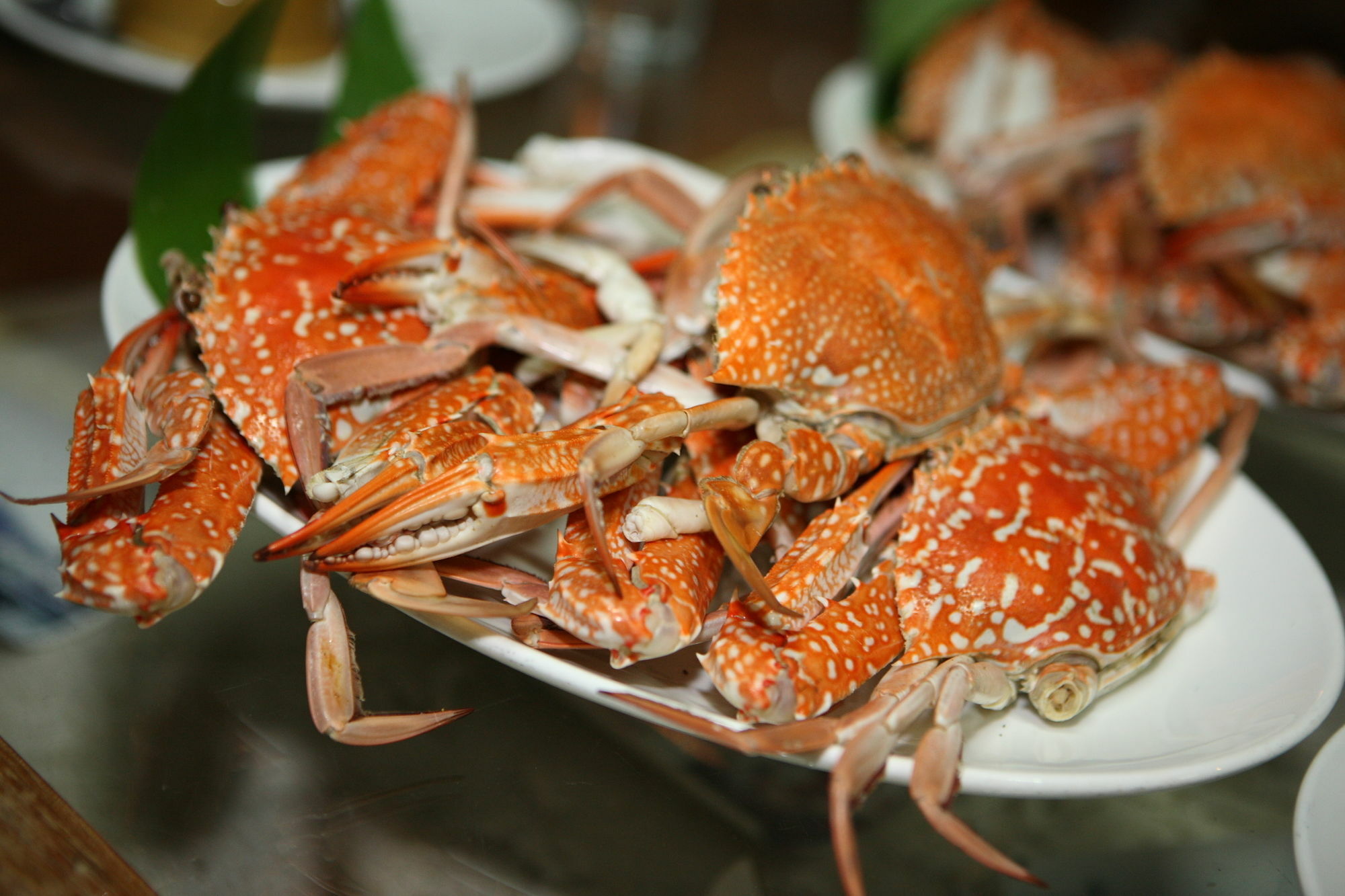 象岛 萨拉可佩度假旅馆酒店 外观 照片